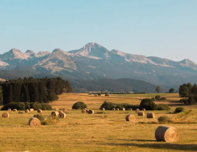 None